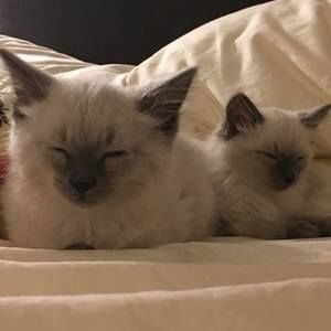 Meet your Posher, Kathleen